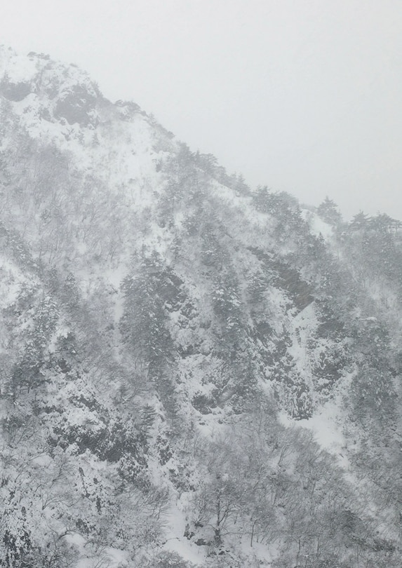 Front cover_Keiko Sasaoka: Presence