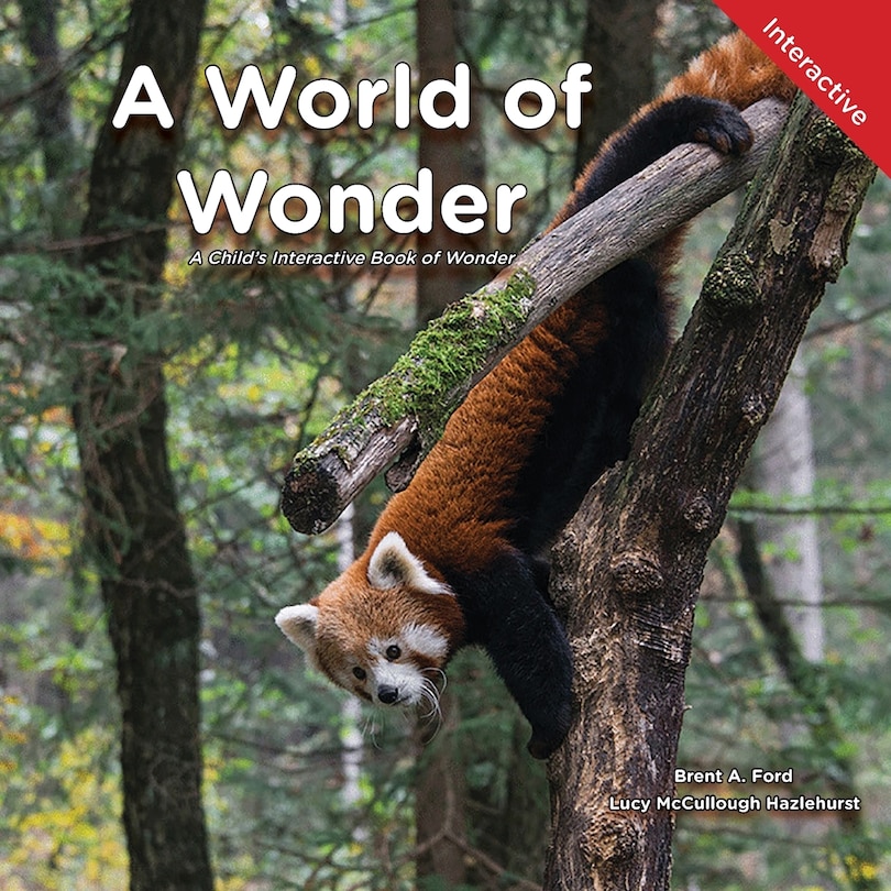 Front cover_A World of Wonder