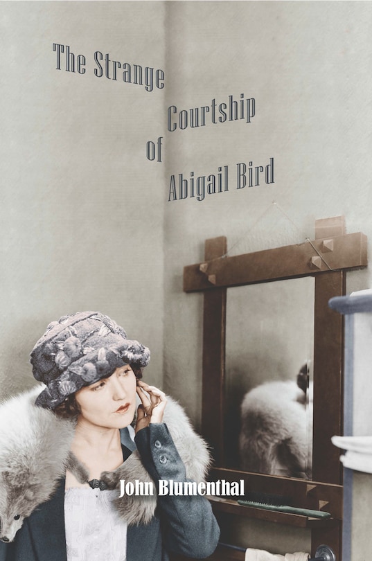Front cover_The Strange Courtship Of Abigail Bird