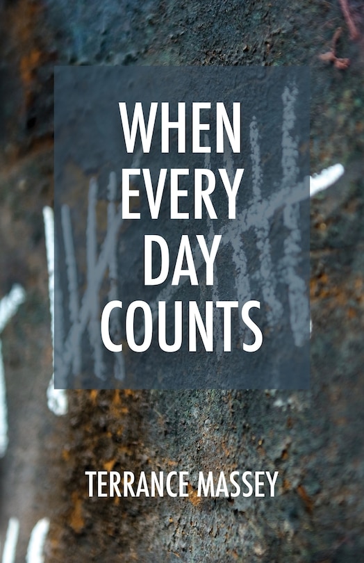 Front cover_When Every Day Counts