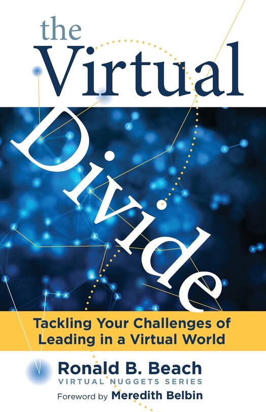 Front cover_The Virtual Divide