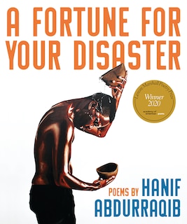 Couverture_A Fortune For Your Disaster