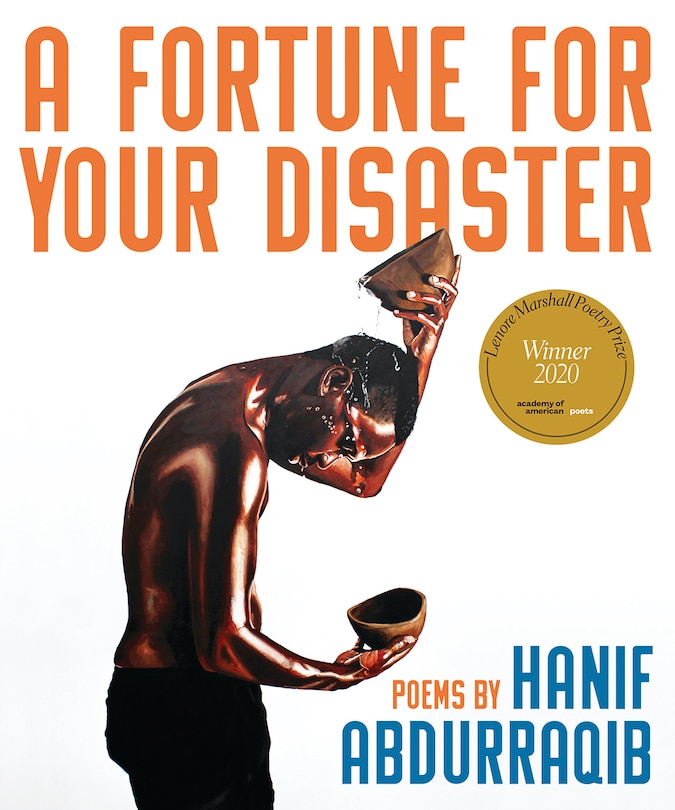 Couverture_A Fortune For Your Disaster