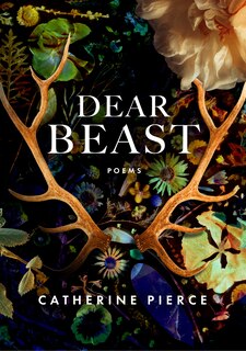 Front cover_Dear Beast