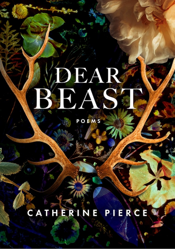 Front cover_Dear Beast