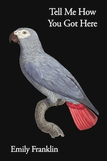 Couverture_Tell Me How You Got Here