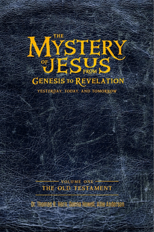 Couverture_The Mystery of Jesus