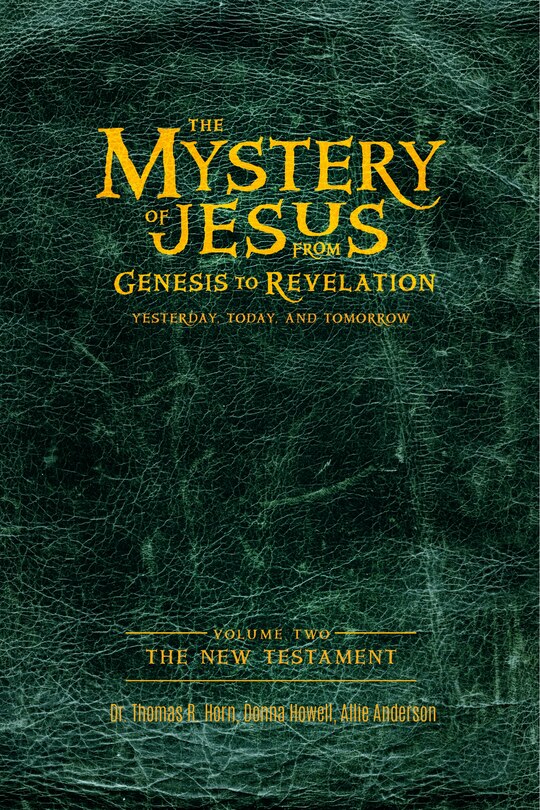 Front cover_The Mystery of Jesus