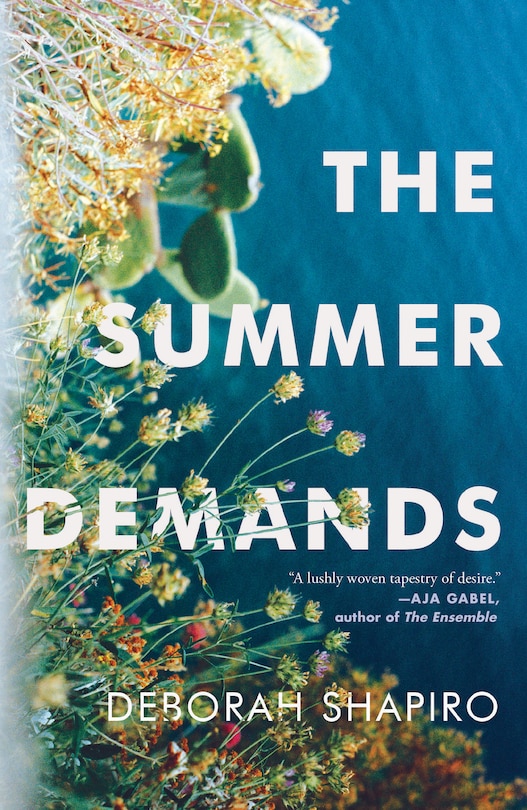 Couverture_The Summer Demands