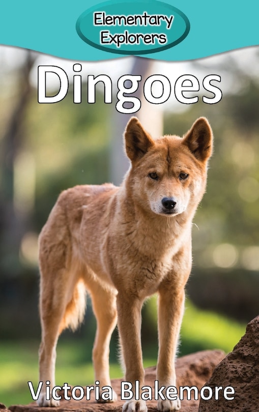 Front cover_Dingoes