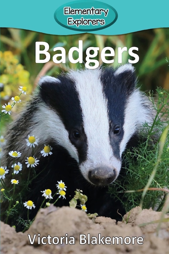 Couverture_Badgers