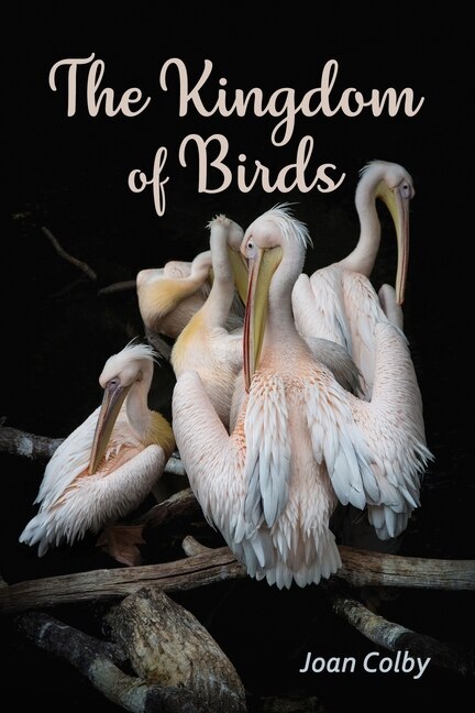 Front cover_The Kingdom of Birds