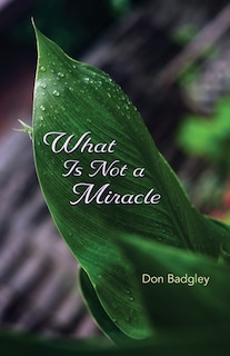 Couverture_What Is Not A Miracle