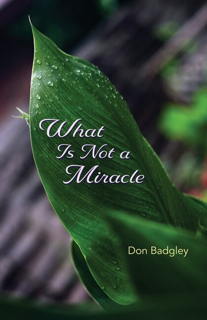 Couverture_What Is Not A Miracle