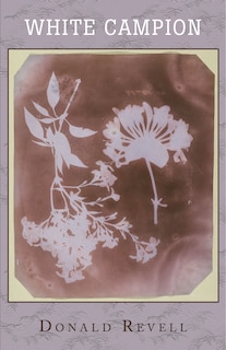 Front cover_White Campion