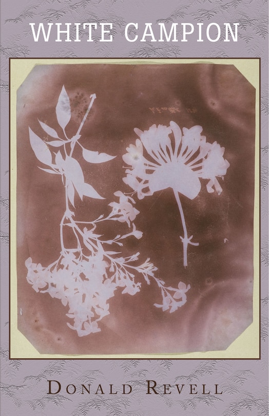 Front cover_White Campion