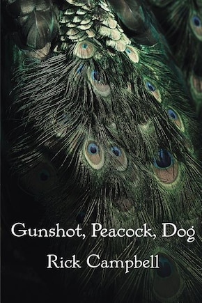 Gunshot, Peacock, Dog