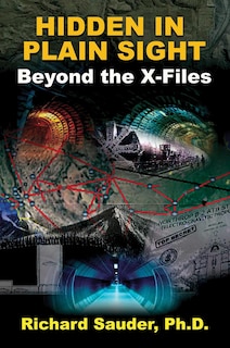 Front cover_HIDDEN IN PLAIN SIGHT