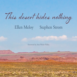 Couverture_This Desert Hides Nothing