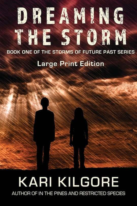 Front cover_Dreaming The Storm