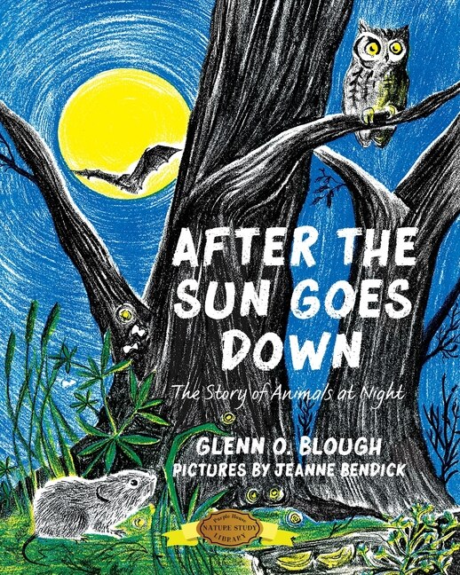 Front cover_After the Sun Goes Down