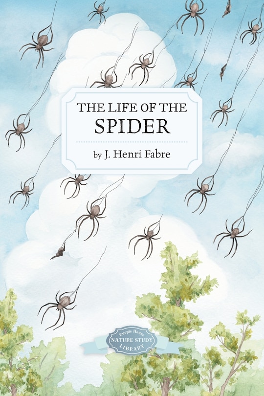 Front cover_The Life of the Spider