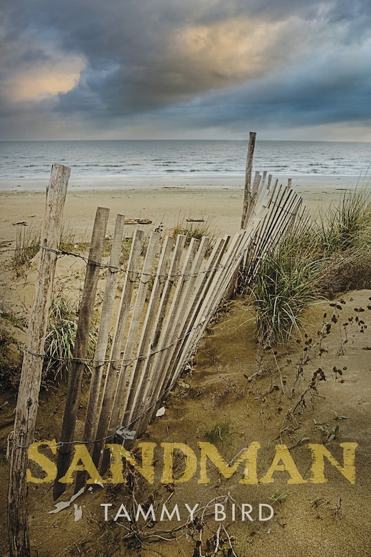 Front cover_Sandman