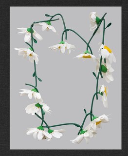 Front cover_Kathleen Ryan: Daisy Chain