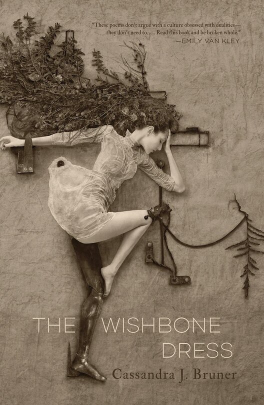 Front cover_Wishbone Dress, The