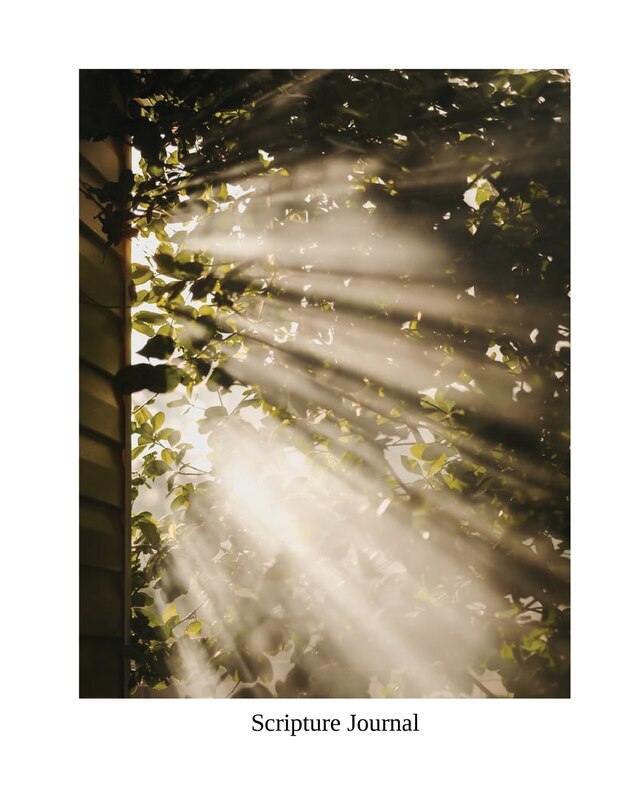 Front cover_Scripture Study Journal