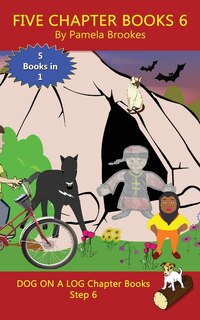 Couverture_Five Chapter Books 6