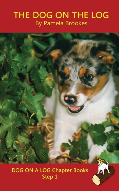 Front cover_The Dog On The Log Chapter Book