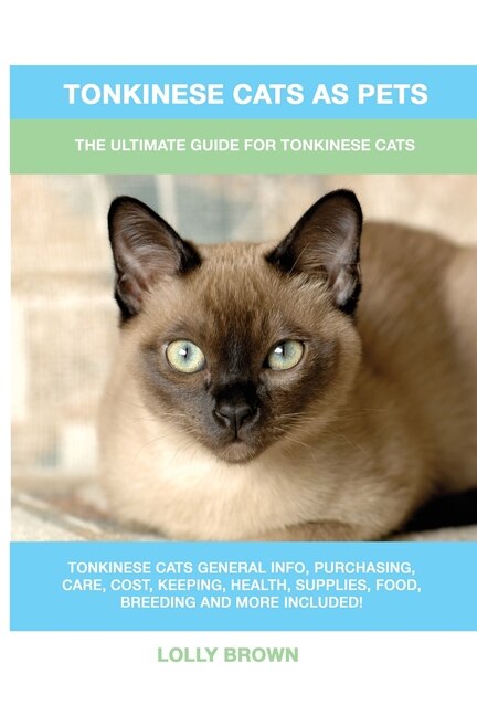 Tonkinese Cats as Pets: The Ultimate Guide for Tonkinese Cats image number 0