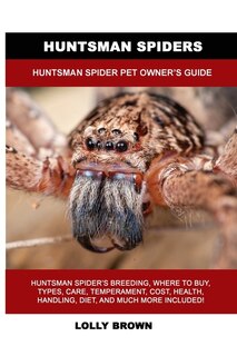 Front cover_Huntsman Spiders