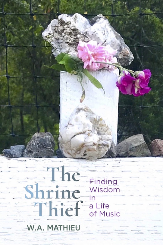 Couverture_The Shrine Thief
