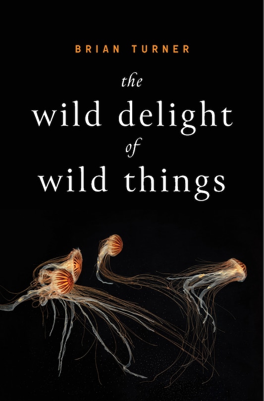 Couverture_The Wild Delight of Wild Things