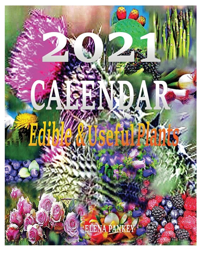 Front cover_Calendar 2021