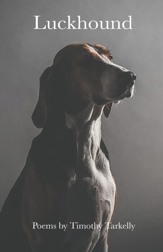 Front cover_Luckhound
