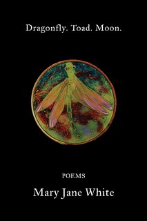 Couverture_Dragonfly. Toad. Moon.