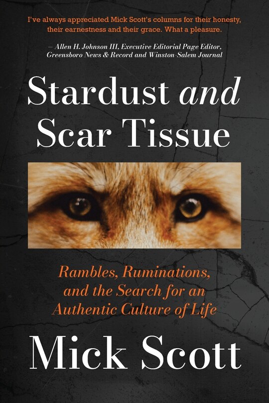Front cover_Stardust and Scar Tissue