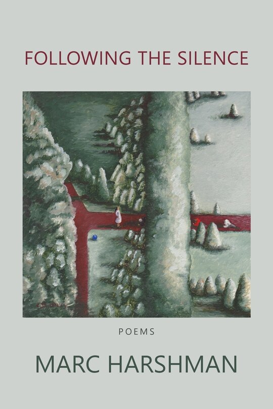 Couverture_Following the Silence