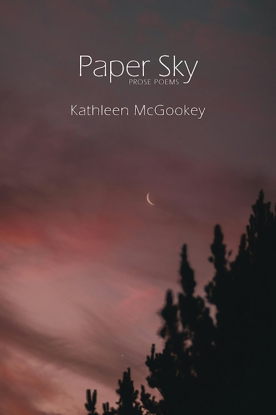 Front cover_Paper Sky