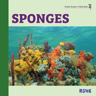 Front cover_Sponges