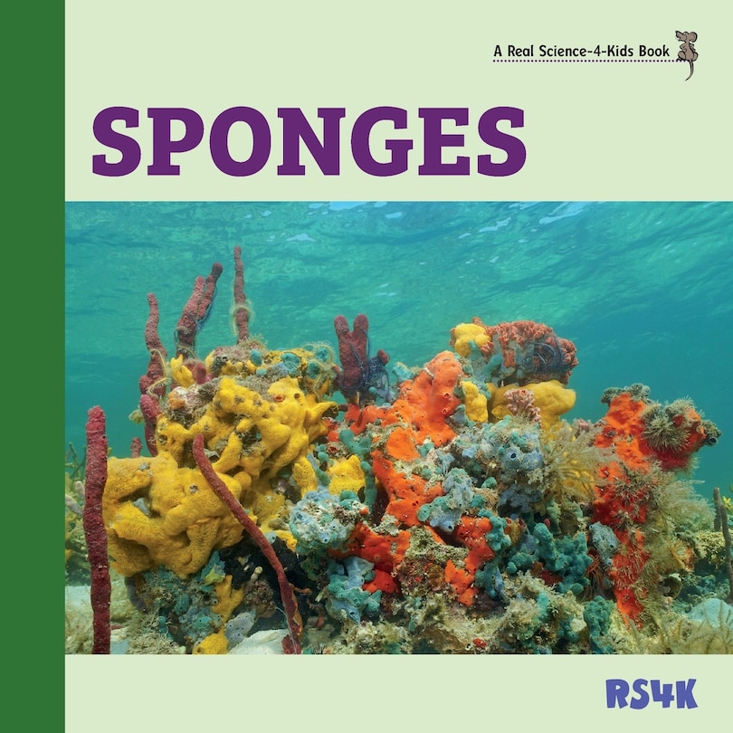 Front cover_Sponges