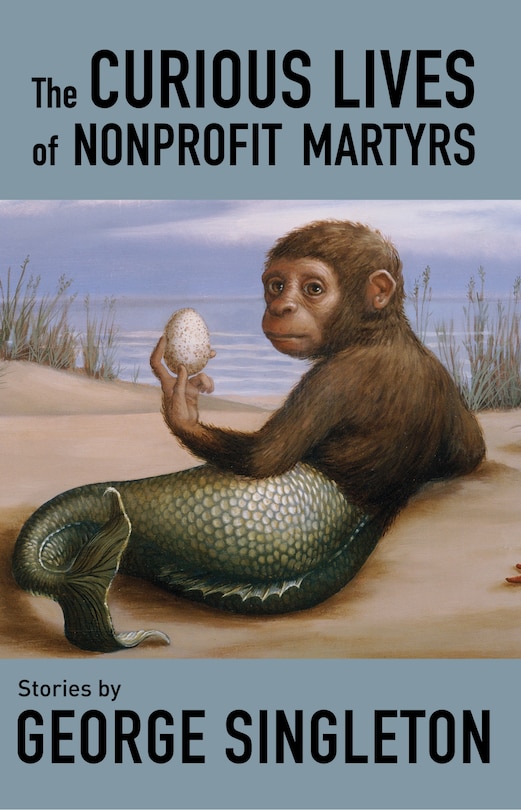 Front cover_The Curious Lives of Nonprofit Martyrs