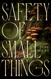 Couverture_The Safety of Small Things