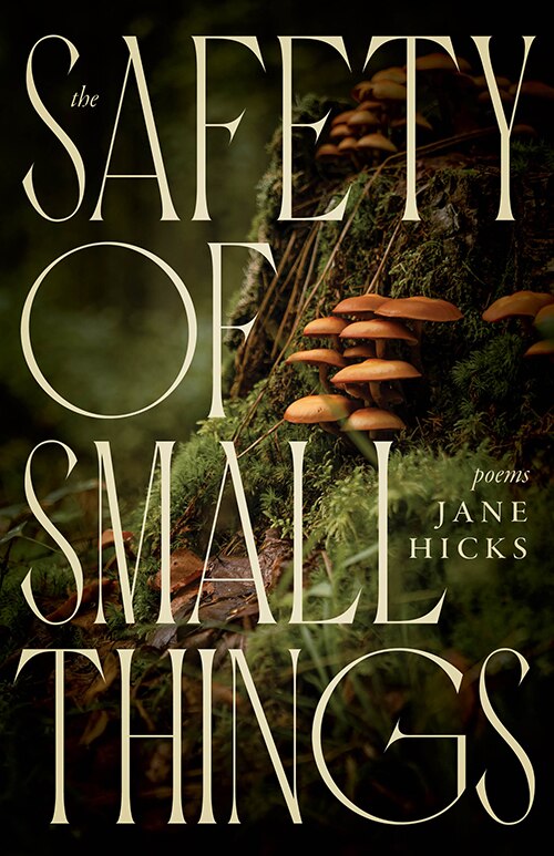 Couverture_The Safety of Small Things