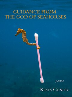 Guidance From The God Of Seahorses