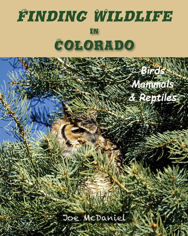Front cover_Finding Wildlife In Colorado