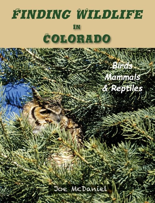 Couverture_Finding Wildlife In Colorado